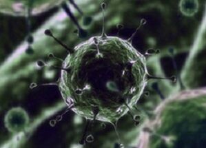 Microrganismi batterici come causa della prostatite
